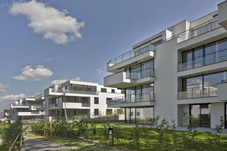 Rebwiesstrasse, Zollikon, Fischer Architekten AG Zürich