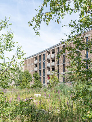 Wohnsiedlung Dietlimoos, Adliswil, Fischer Architekten AG