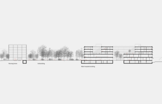 Longitudinal section