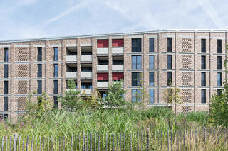 Wohnsiedlung Dietlimoos, Adliswil, Fischer Architekten AG, Zürich